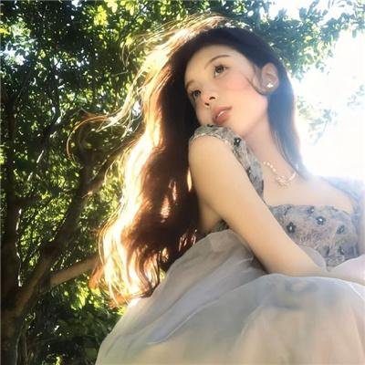 飞行之翼